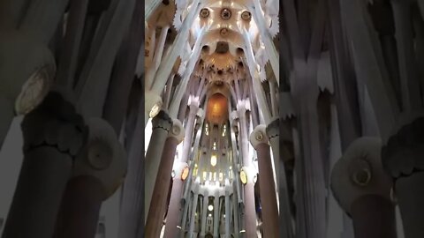 La Sagrada Familia Cathedral - Interior The Unfinished Masterpiece Barcelona #gaudi #shorts