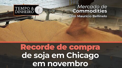 Soja tem contrato novembro na maior movimentação de compra em Chicago