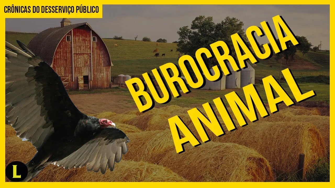 O Fazendão: a BURROCRACIA ESTATAL no mundo animal - parte 3