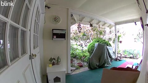 NORTH_VIDEO_DOOR_BELL_2023-05-04T11_15_25-0400.mp4