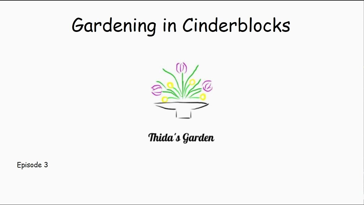 Growing in Cinder Block