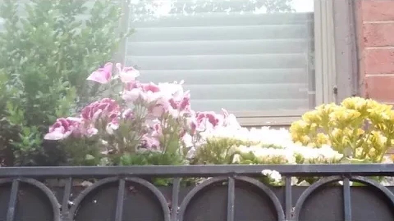 Redefining a 'Karen.' Part Deux