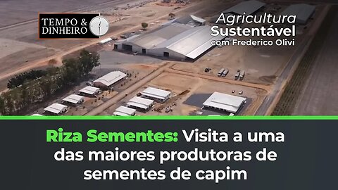 Visita a uma das maiores produtoras de sementes de capim