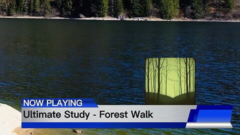 Ultimate Study - Forest Walk