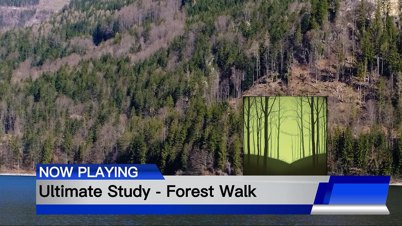 Ultimate Study - Forest Walk