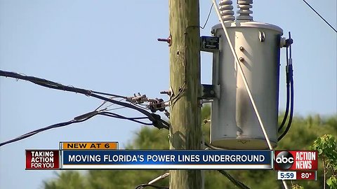 Hurricane-proofing Florida? New state bill could bring in more underground power lines