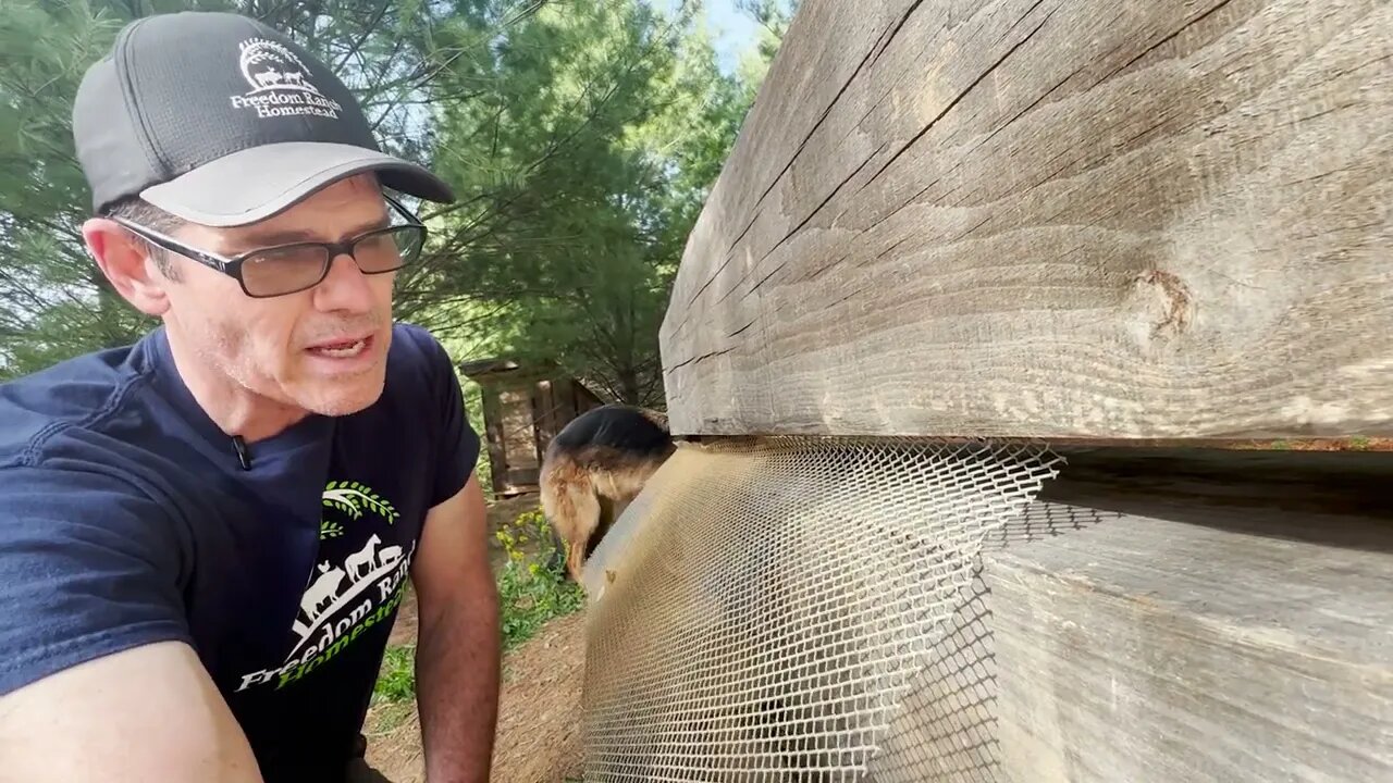 #67 Learning to CHINK a LOG HOME.