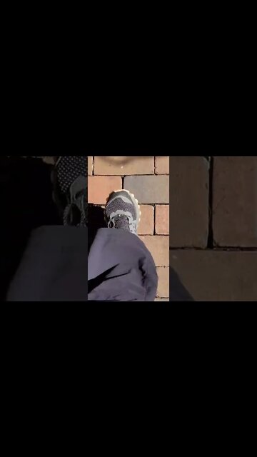 Riverbanks Botanical Garden in Columbia South Carolina