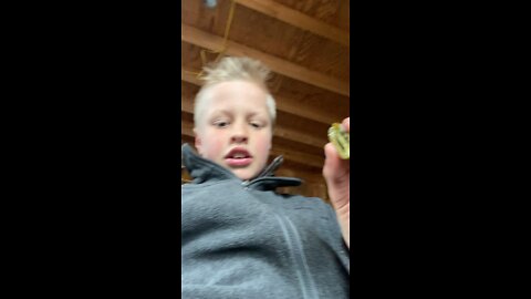 Jalapeño spice challenge￼