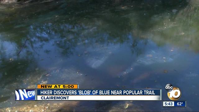 Hiker founds paint blob near trail