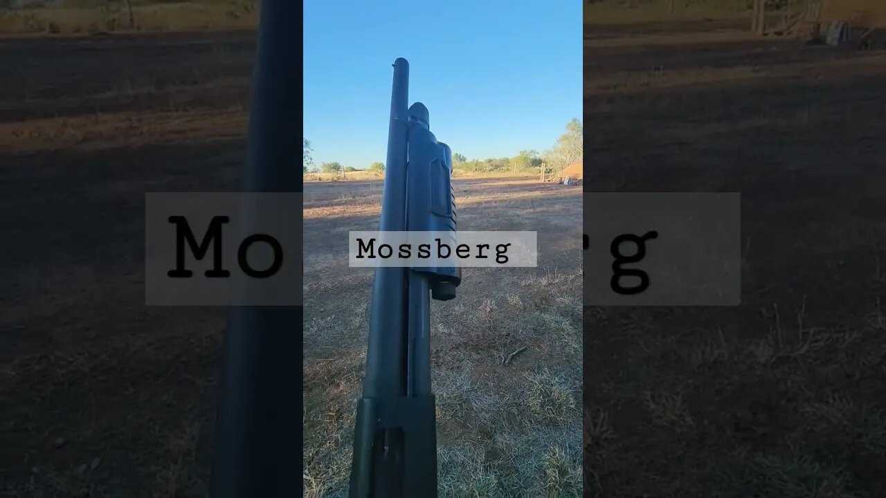 guns #shorts #guns #mossberg #shotgun #military