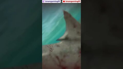 Shark Attack