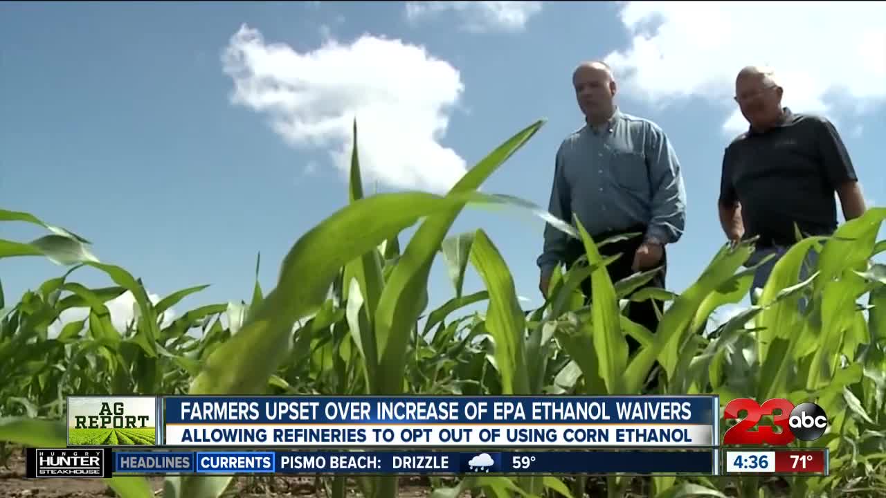 Ag Report: EPA ruling angers corn farmers, USDA looking to re-hire, and Murray Family Farms hiring