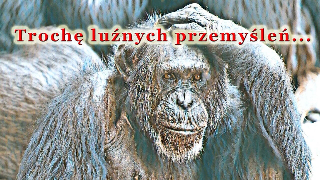 Trochę luźnych przemyśleń