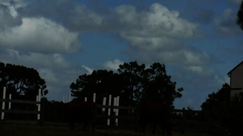 Tranquility Minute at #VenusRanch in Venus Florida