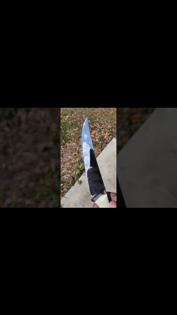 The Carnivore Carver