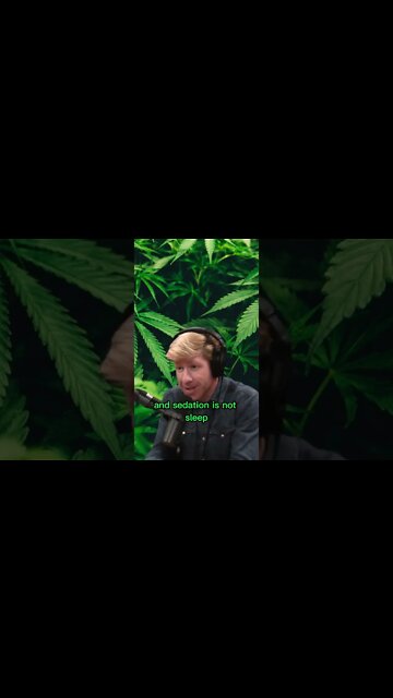 Marijuana effects on sleep and dreams - Joe Rogan & Matthew Walker #shorts