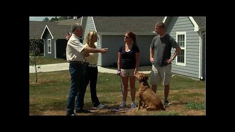 The Keys to a Fantastic Dog! Promo Video for Gentle Dog Training.com