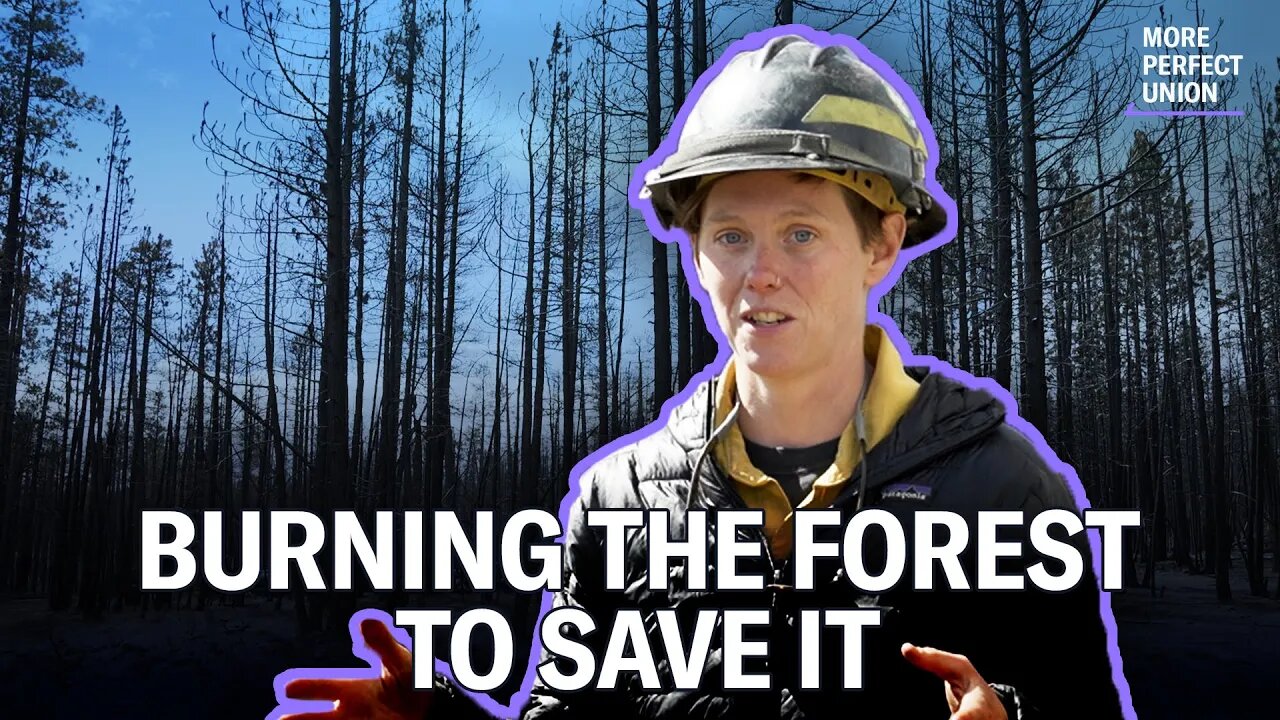 How America Can Prevent Devastating Wildfires