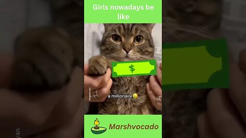 Me go marry a millionaire #shorts #cat #catsoftiktok #kitty #foryoupage #funnycat #catlover