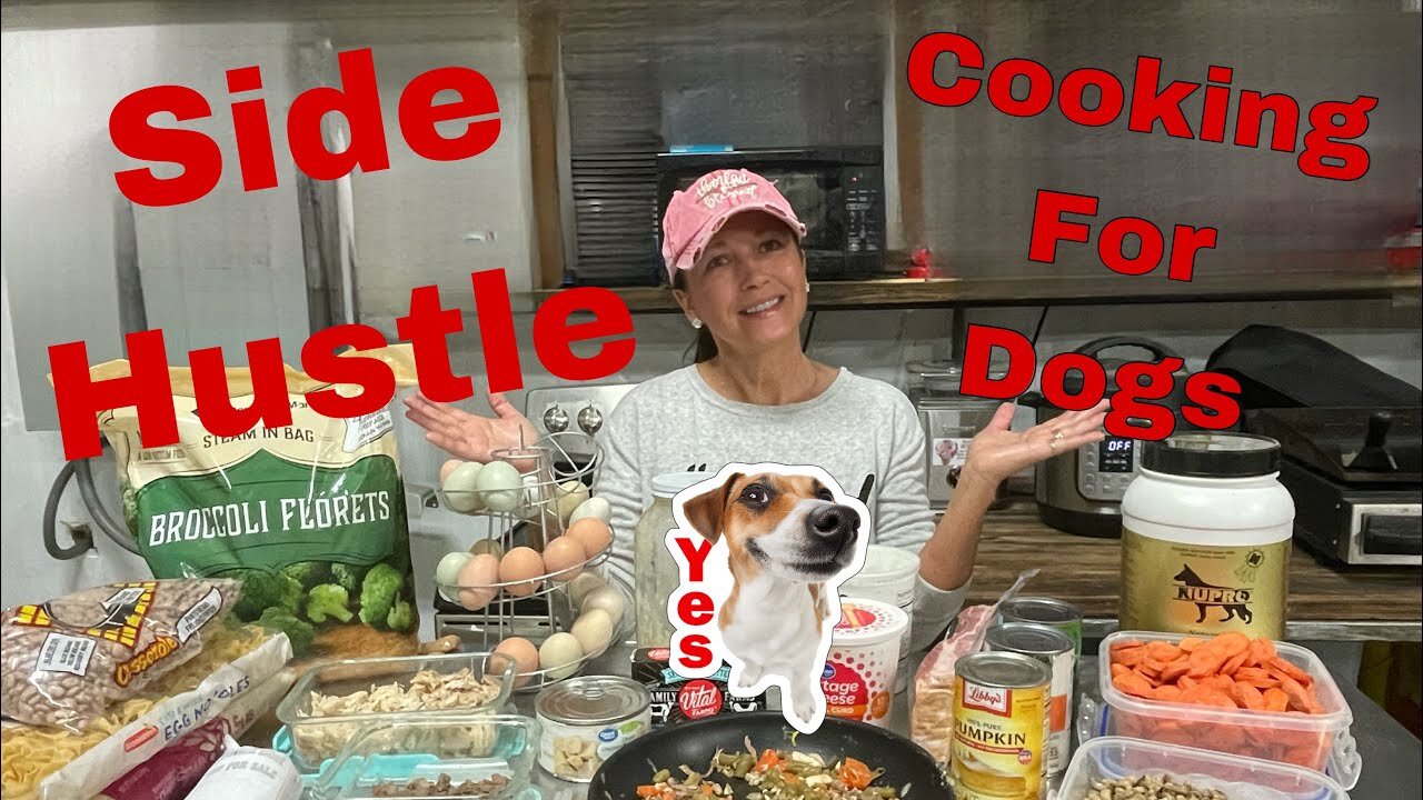 Cooking for Dogs as a SIDE HUSTLE