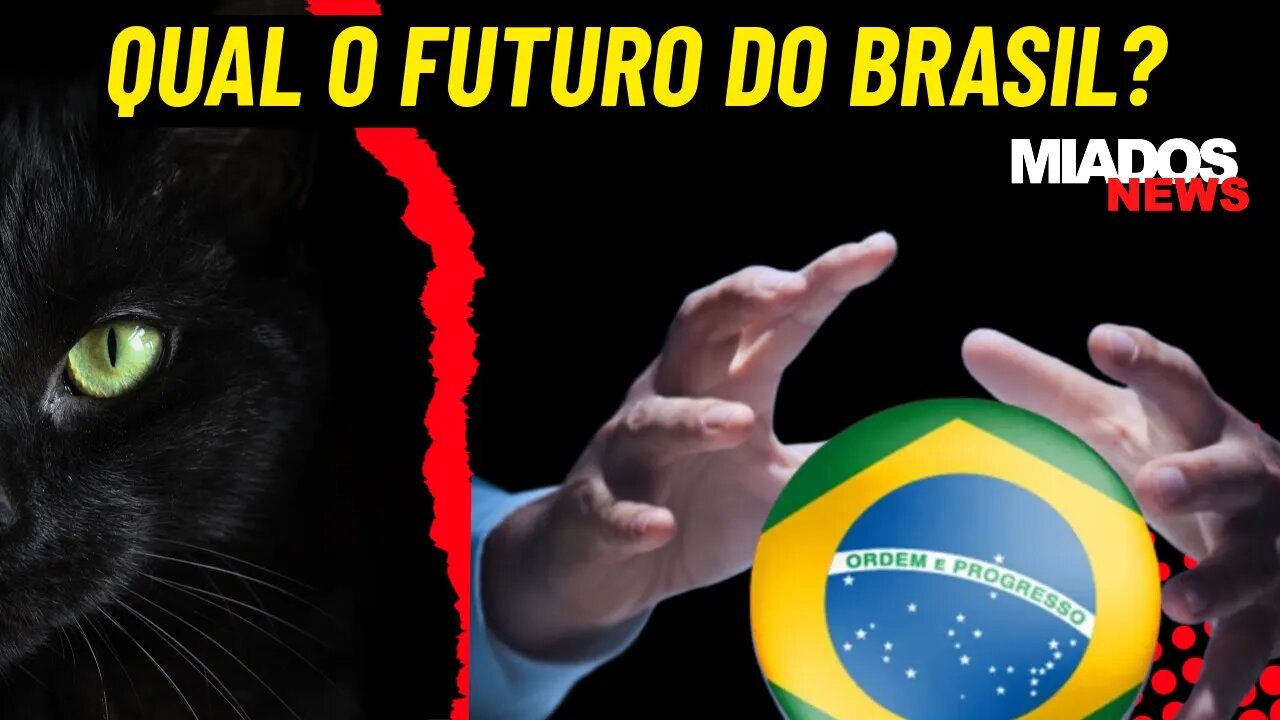 Miados News - Qual será o futuro do BRASIL?