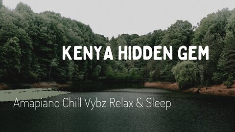 🔥Stunning Kenya Wild Life Images With Amapiano Music - Study👩🏻‍🎓 Chill🏝 Sleep💤 Relax🛀🏻 Destress🧘🏻