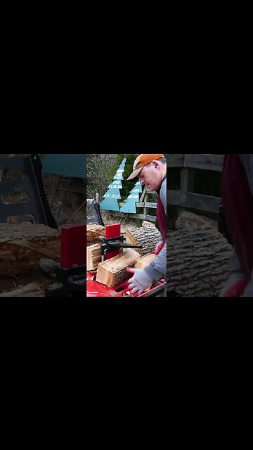Splitting Big Oak Firewood #shorts #logsplitter