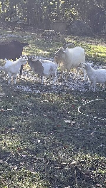 It’s that Time Of Year Again