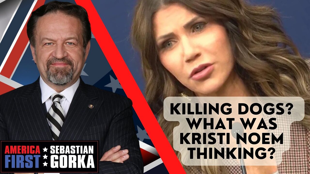 Sebastian Gorka LIVE: Killing dogs? What was Kristi Noem thinking?