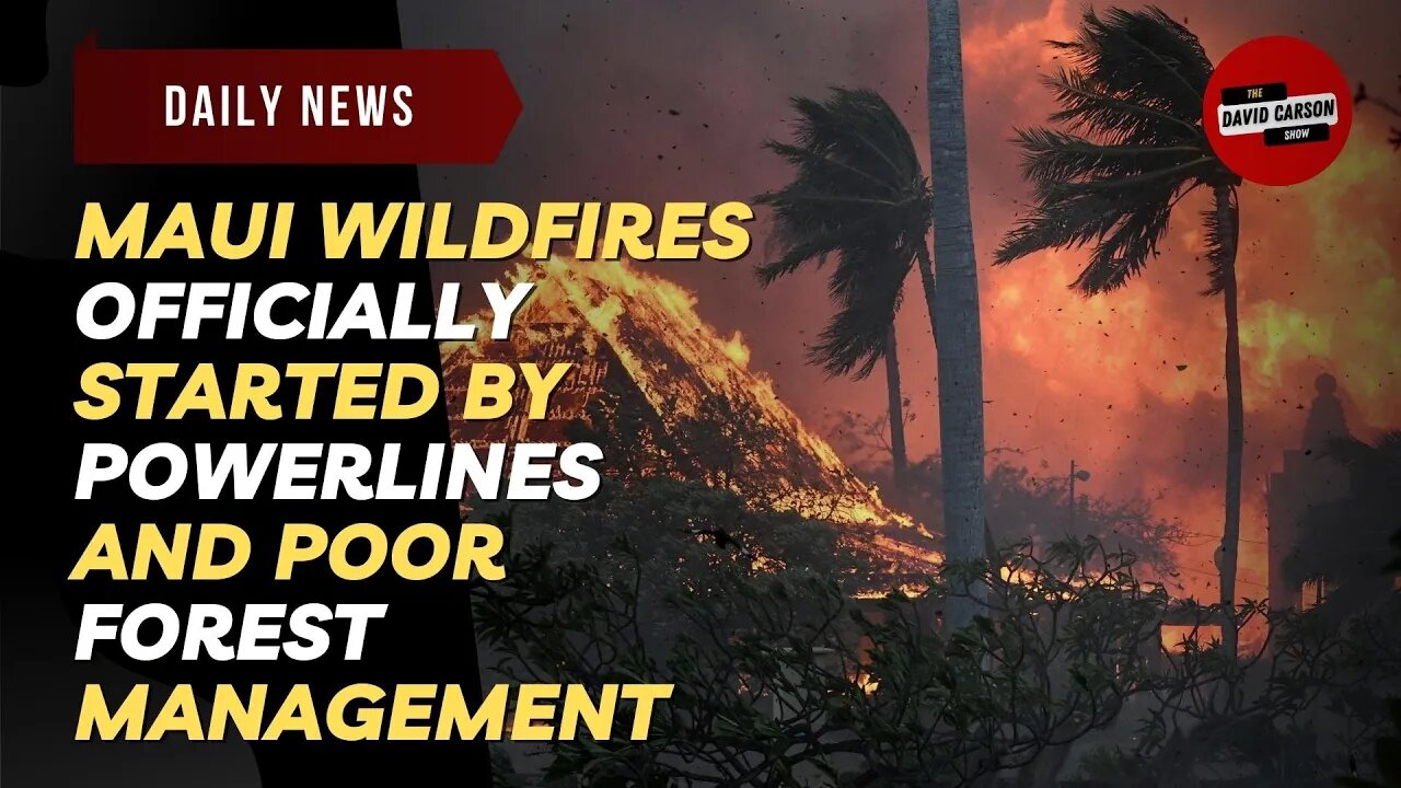 Maui Wildfires Officially Started By Powerlines And Poor Forest Management