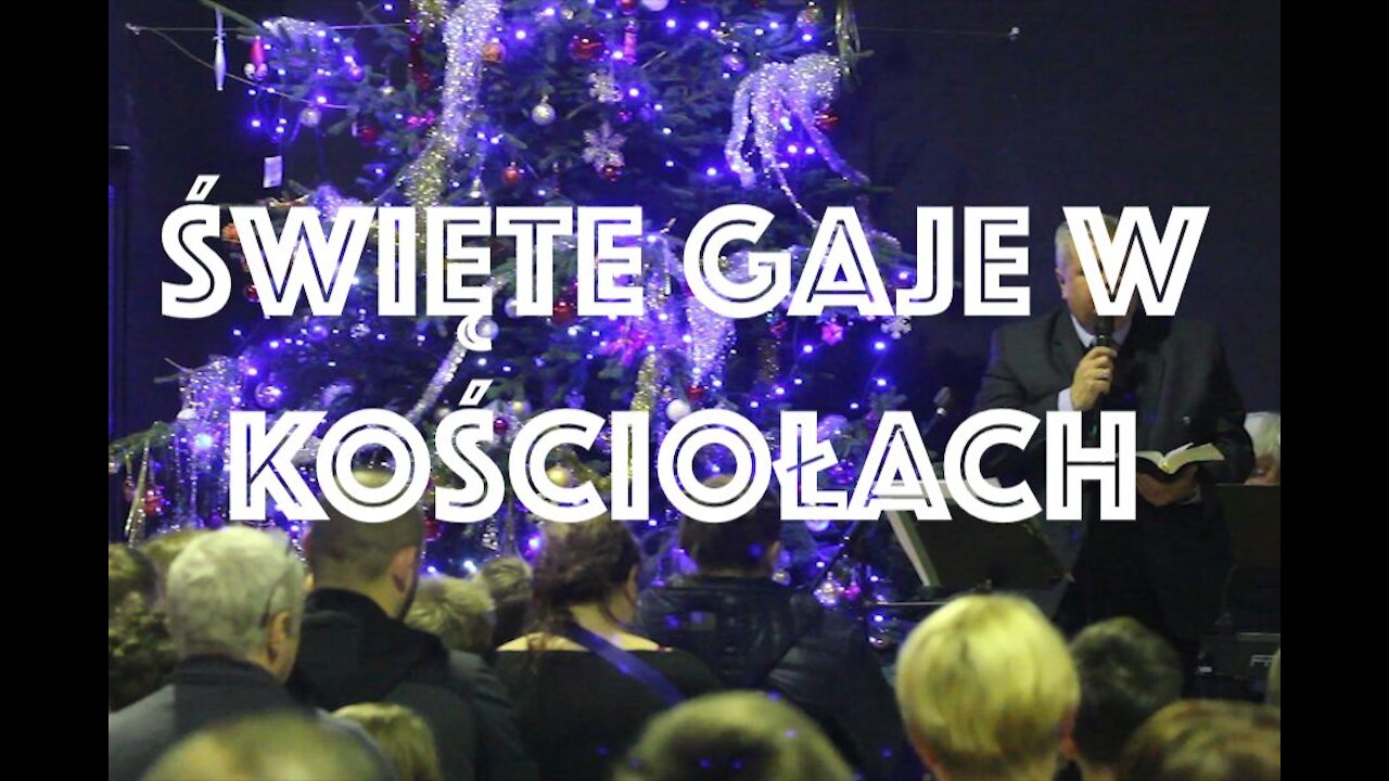 Święte Gaje w Kościołach