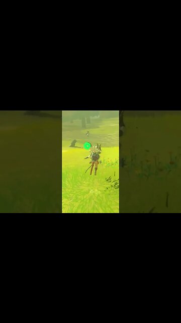 Devs attention to detail in Zelda TotK