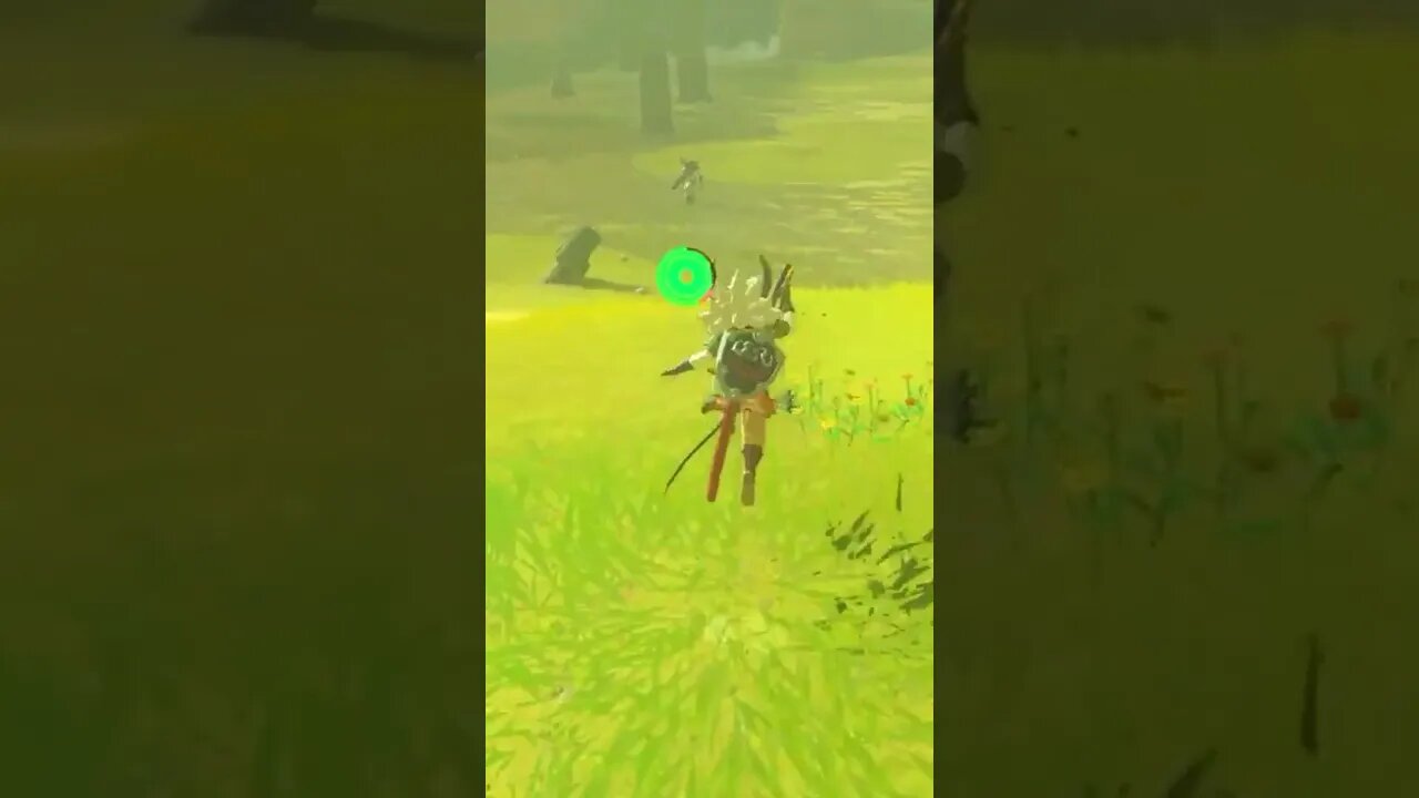 Devs attention to detail in Zelda TotK
