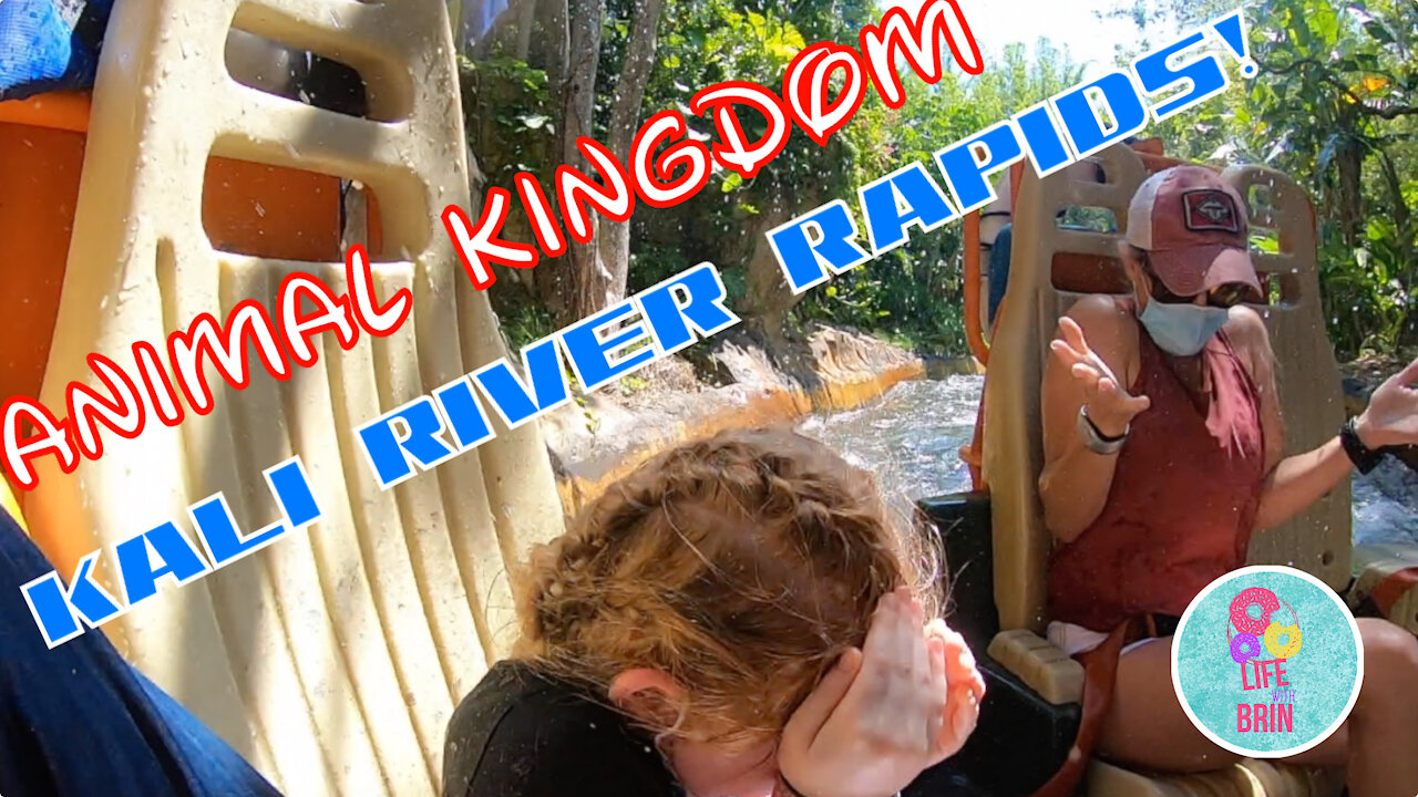 Disney Day 2 Animal Kingdom pt 2 KALI RIVER RAPIDS, EVEREST, Gorillas Zebras Tigers and more!