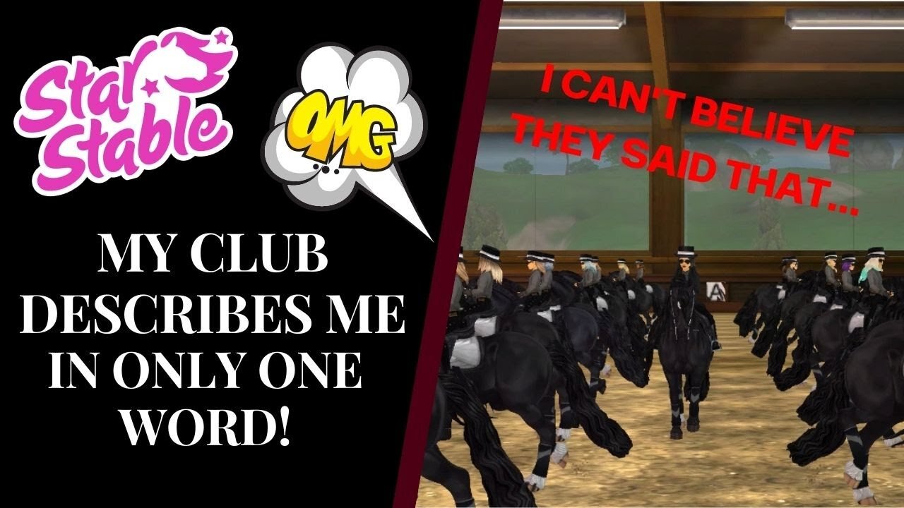 MY CLUB DESCRIBES ME USING ONLY ONE WORD! 😱 Star Stable Quinn Ponylord