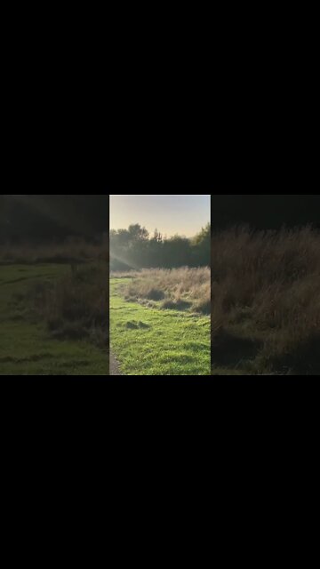 Went to Scarborough today.