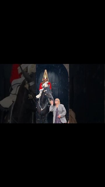 The horse kisses her back #horseguardsparade