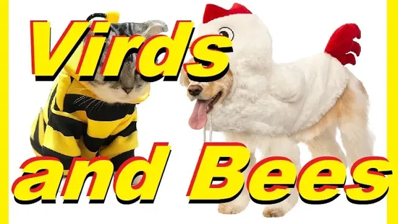 Cats, Dogs Birds and Bees of Revelations