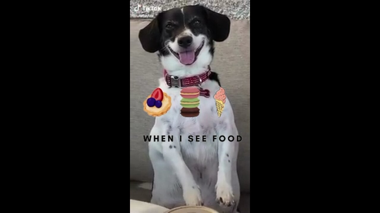 When I See Food