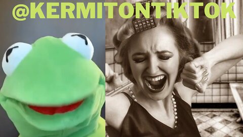 Best of @kermitontiktok TikToks of 2022 | Funny Kermit On TikTok Videos Compilation