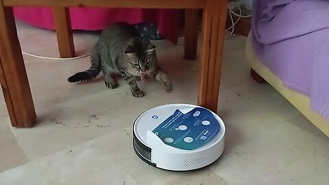 Santa 🎅🏻 helps test the new robot vacuum cleaner 🤖