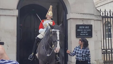 Touch the Horse not the Reins #horseguardsparade