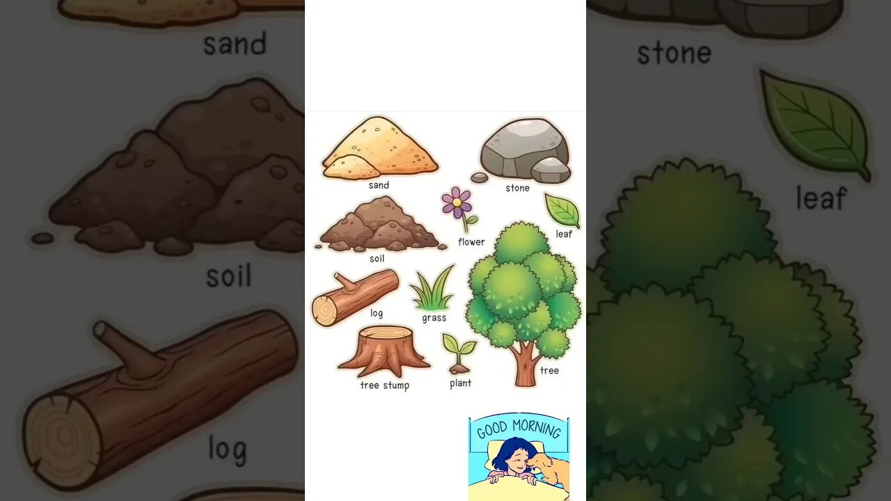 GARDEN WORD IN ENGLISH