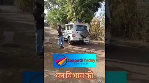 डिंडोरी के जंगल में हाथियों का आतंक