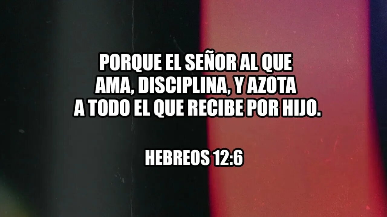 El Señor a quien ama, disciplina #devocional #devocionaldiario #jesuscristo