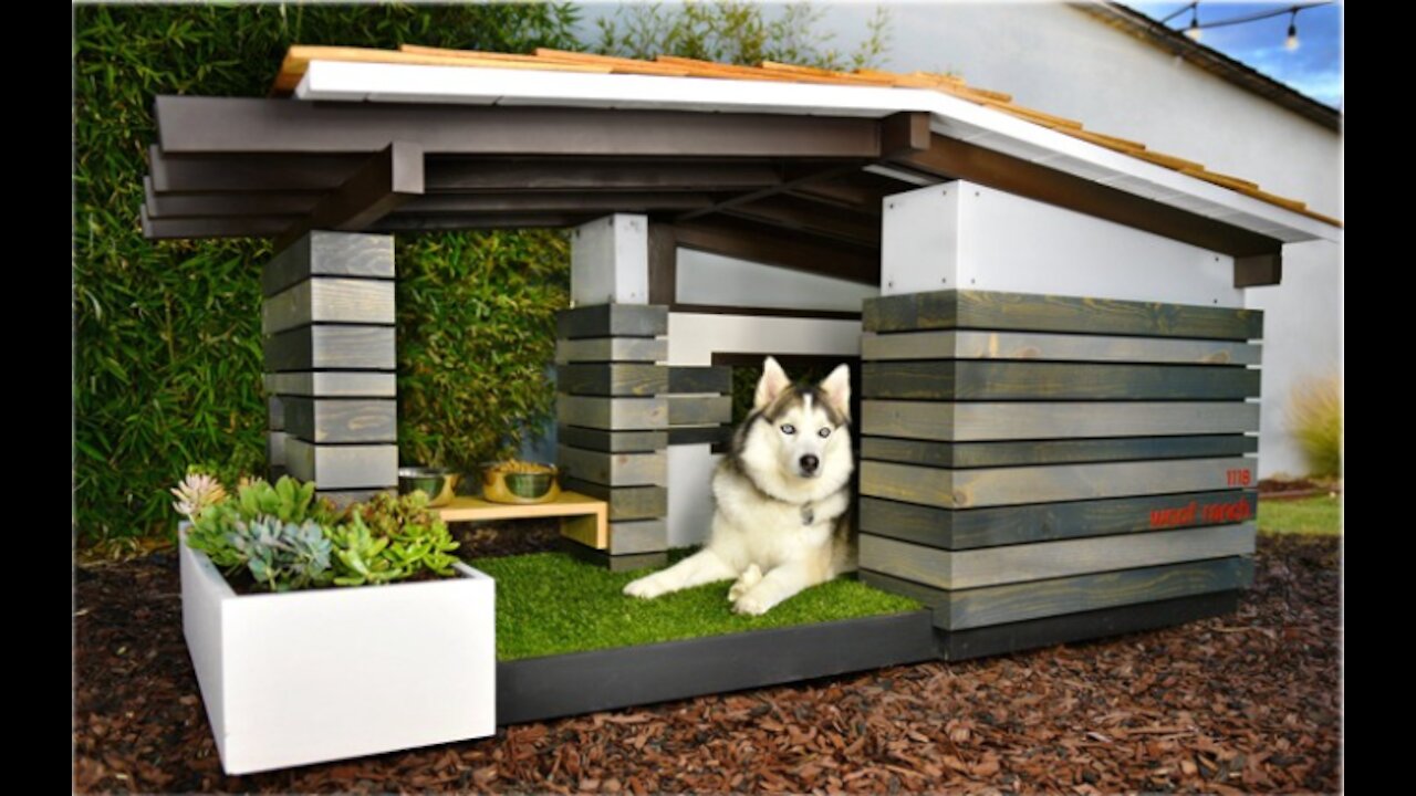 Most luxurious dog houses in the world