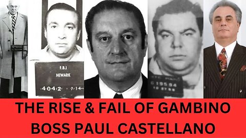 Paul Castellano Became Boss & John Gotti Killed Him (Roy DeMeo, Angelo Ruggiero, & Neil Dellacroce)