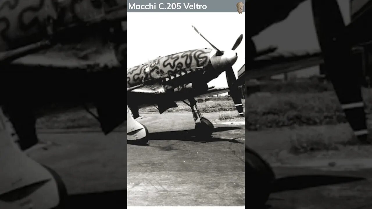 Macchi C 205 Veltro #Shorts