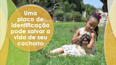 Uma placa de identificação pode salvar a vida de seu cachorro